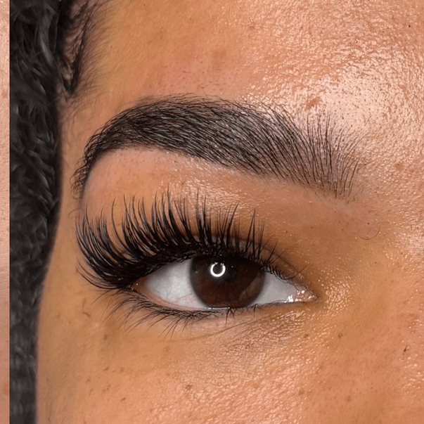 Luxury Brow Lamination + Henna at Mo Skin Beauty in Tampa, FL
